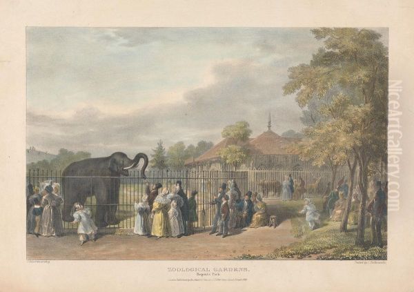 Zoological Gardens, Regent's Park - view 1