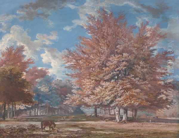 View in a Park - view 1