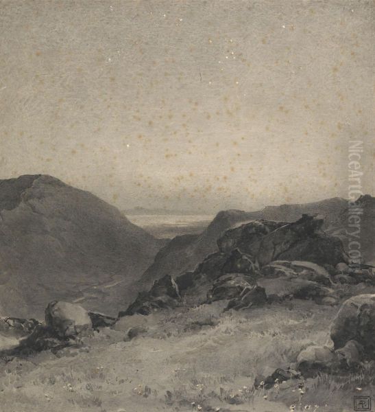 Rocky Landscape - view 1