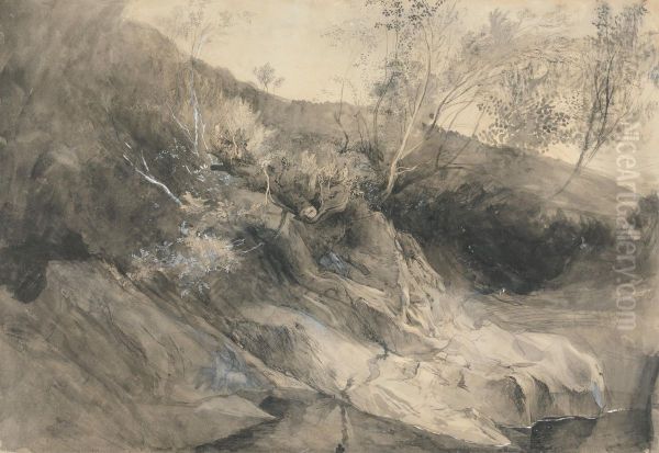 The Rocky Bank of a River - view 1