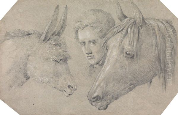Head of a Stable Lad, Looking Between the Heads of a Horse, on His Left, and a Donkey, on His Right - view 1