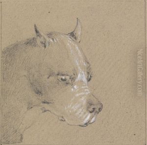 Head and Shoulders of a Boxer Dog, Profile Right by Henry Thomas Alken