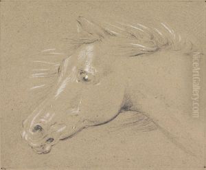 Head and Neck of a Frightened Horse, Left Profile by Henry Thomas Alken