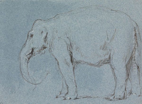 An Elephant - view 1