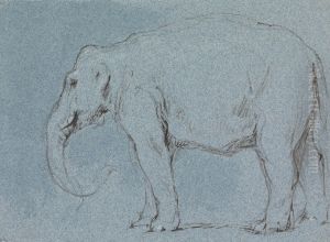 An Elephant