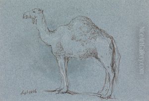 A Camel, Facing Left, Sept. 1856