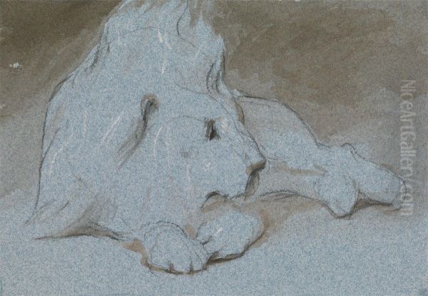 A Male Lion, Lying Down and Half Facing Right - view 1