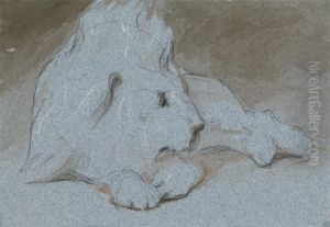 A Male Lion, Lying Down and Half Facing Right A Male Lion, Lying Down and Half Facing Right