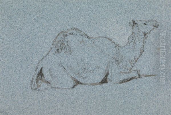 A Camel Resting, Side View to the Right - view 1