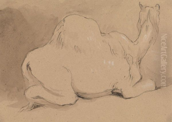 A Camel Resting - view 1
