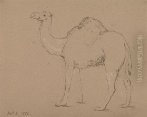 A Camel, Facing Left, Sept. 3, 1850 by George Jones