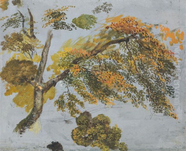 Tree Study (Autumn Foliage) - view 1