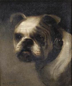Portrait Of A Bulldog