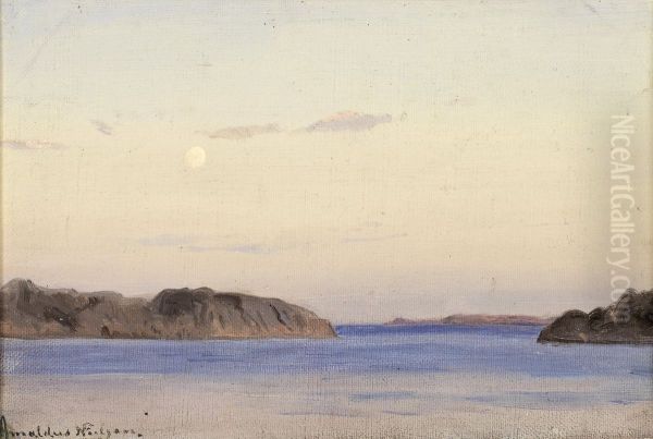 Fra skjaergarden ved Ny-Hellesund - view 1