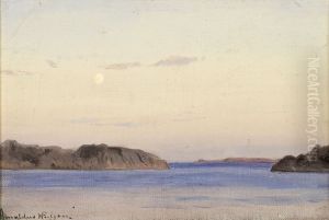 Fra skjaergarden ved Ny-Hellesund by Amaldus Nielsen