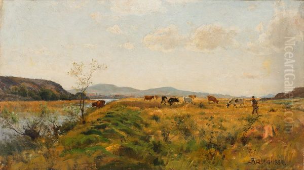 Cows on pasture - view 1