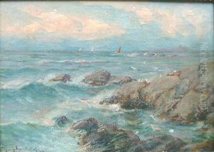 Rocky Coast