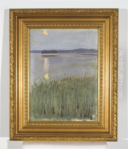 Lintulan ranta Keiteleella - view 1