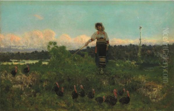 Turkeys herder - view 1