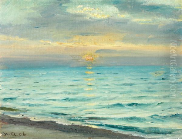 Solnedgang ved Skagen strand. - view 1