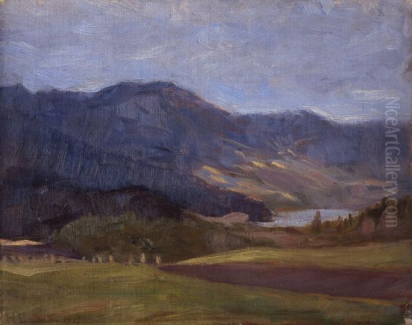 Fra Vaga 1894 - view 1