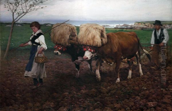 Plowing the land (Asturias) - view 1