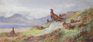 King of the roost