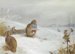 Hard times - partridges and a hare by Archibald Thorburn