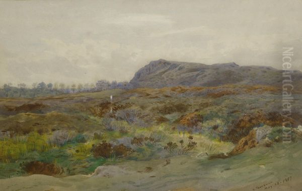 Moorland landscape. - view 1