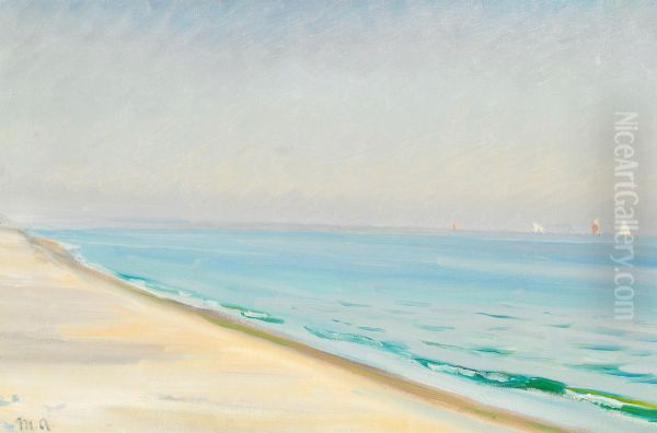 Sommerdag pa Skagen Sonderstrand. - view 1