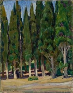 Cypresses