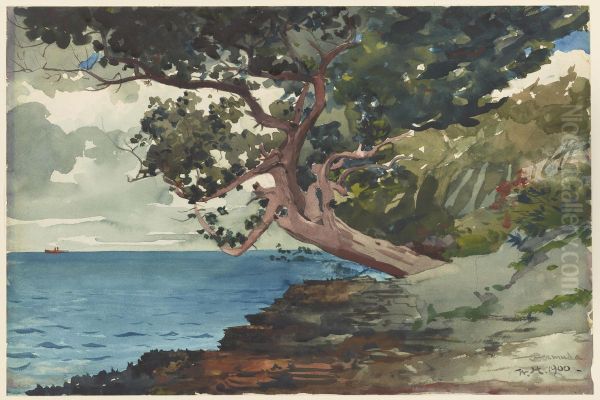 Bermuda - view 1