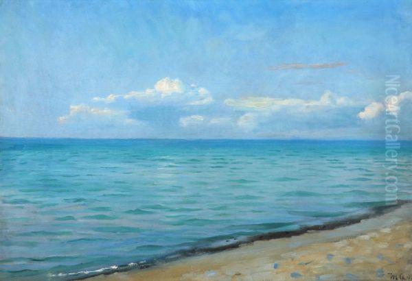 Strandparti, Skagen. - view 1