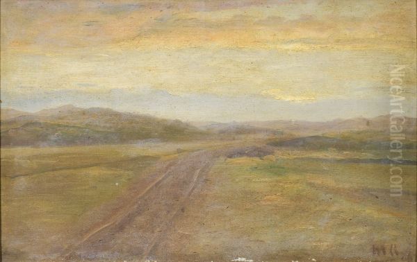 Landscape behind the dunes. - view 1