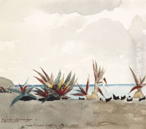 Nassau Beach with Century Plants by Winslow Homer
