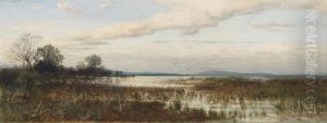Partie am Chiemsee, Moorlandschaft by August Schaeffer von Wienwald