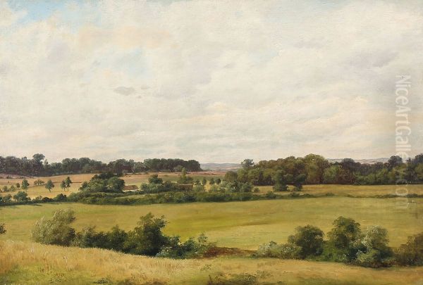 Danish summer landscape - view 1