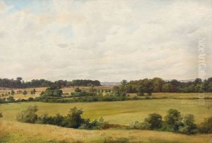 Danish summer landscape by Axel Schovelin