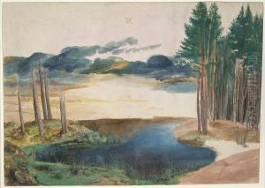 Der Weiher im Walde by Albrecht Durer