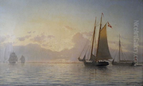 The Revenue schooner Argus anchored in Odense Fjord. - view 1