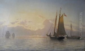 The Revenue schooner Argus anchored in Odense Fjord. by Carl Baagoe