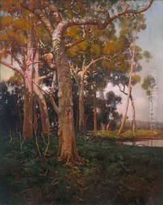 The golden splendour of the bush