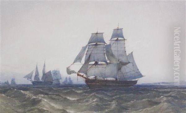 Frigates Off The Coast - view 1