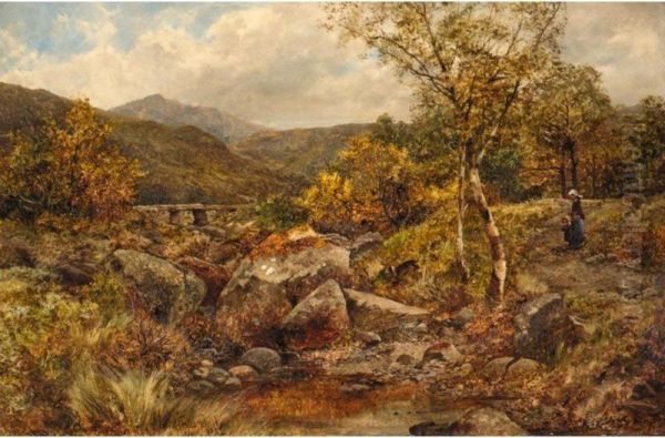 Path And Spring, Near Capel Curig - view 1