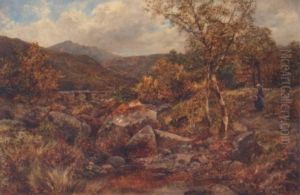 Path And Spring Near Capel Curig