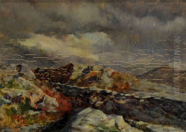Paisaje - view 1