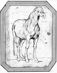 Study of a horse for "The triumph of painting in Parnassus"