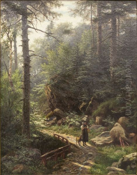 Forest Road - view 1