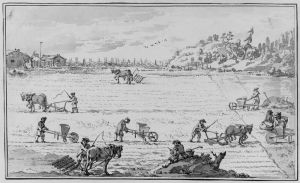 The Agriculture by Jean Eric Rehn