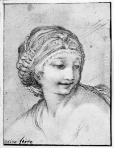 Head and shoulders of a young woman